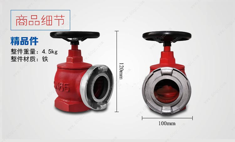 灑水車消防栓接口商品細(xì)節(jié)