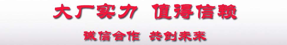 大廠實力共創未來